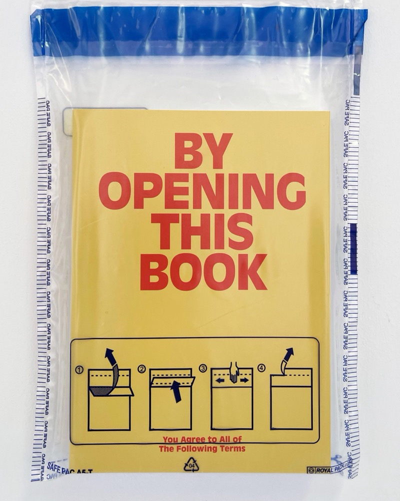 By Opening This Book You Agree to All of the Following Terms: publisher’s book image