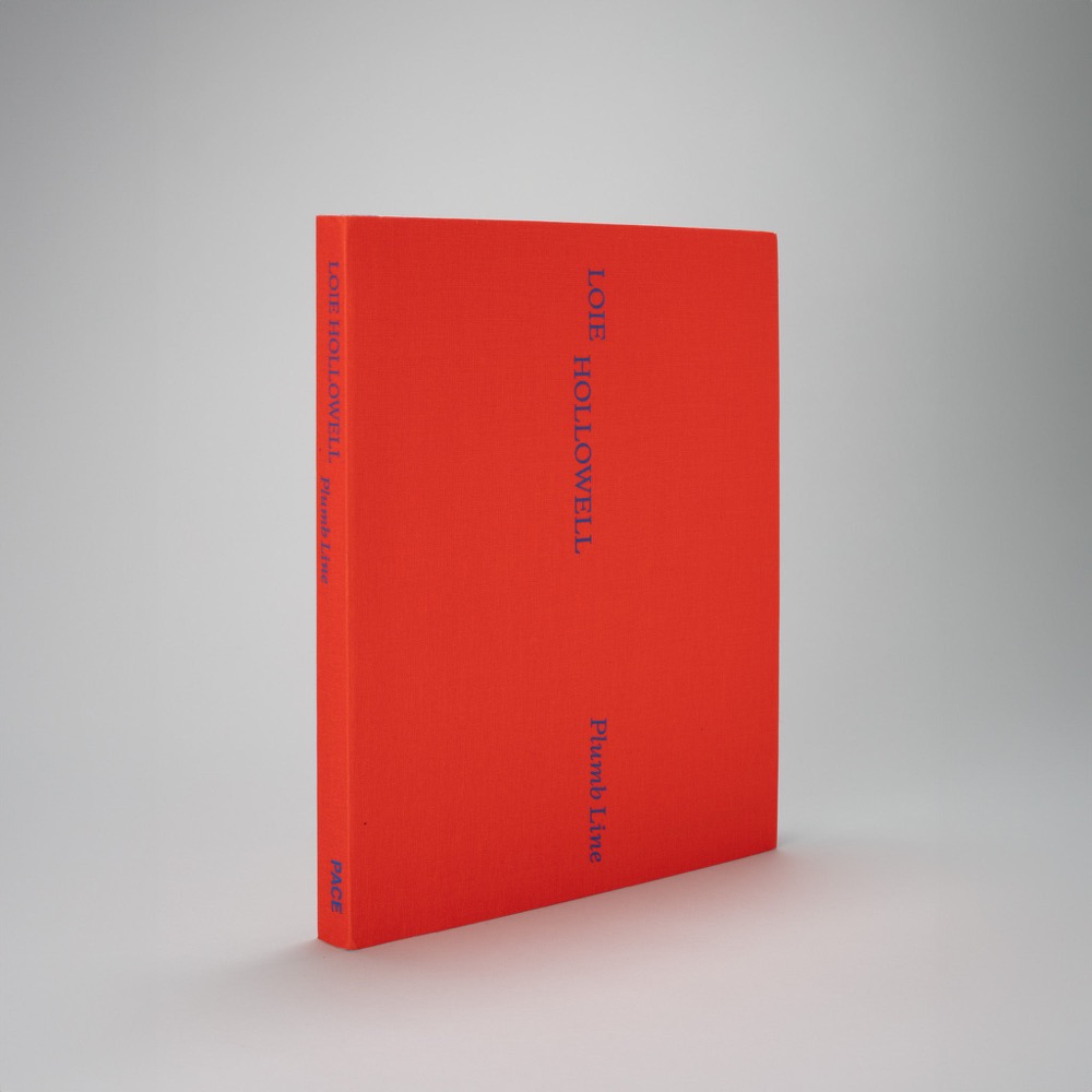 Loie Hollowell: Plumb Line: publisher’s book image