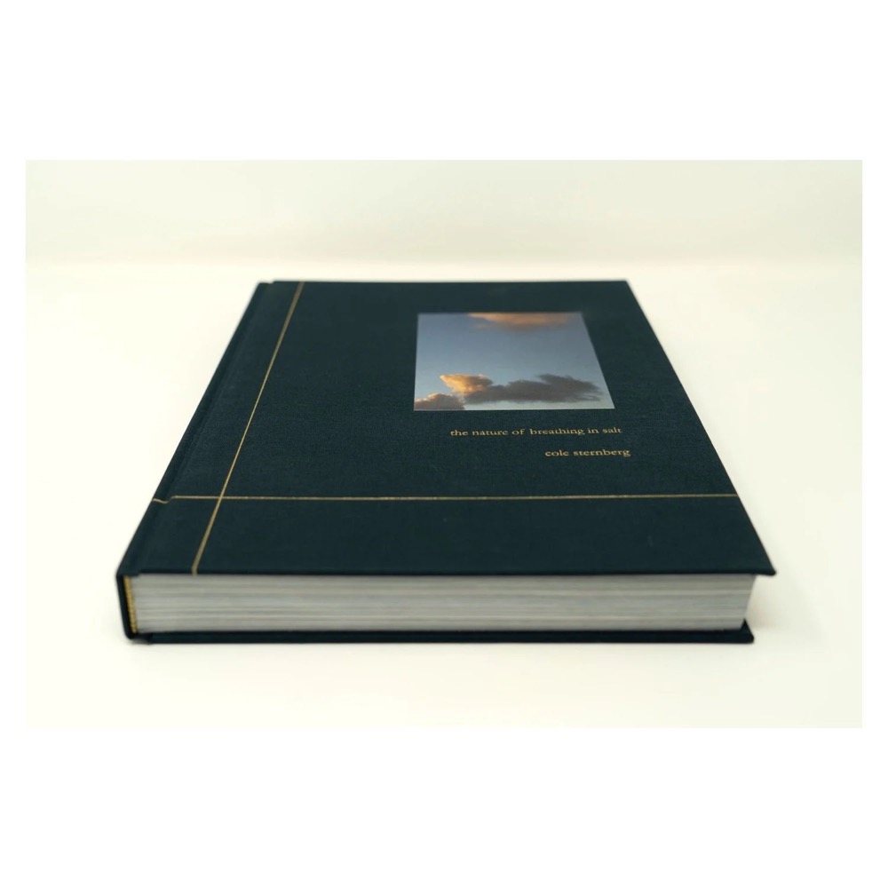 The Nature of Breathing in Salt: publisher’s book image