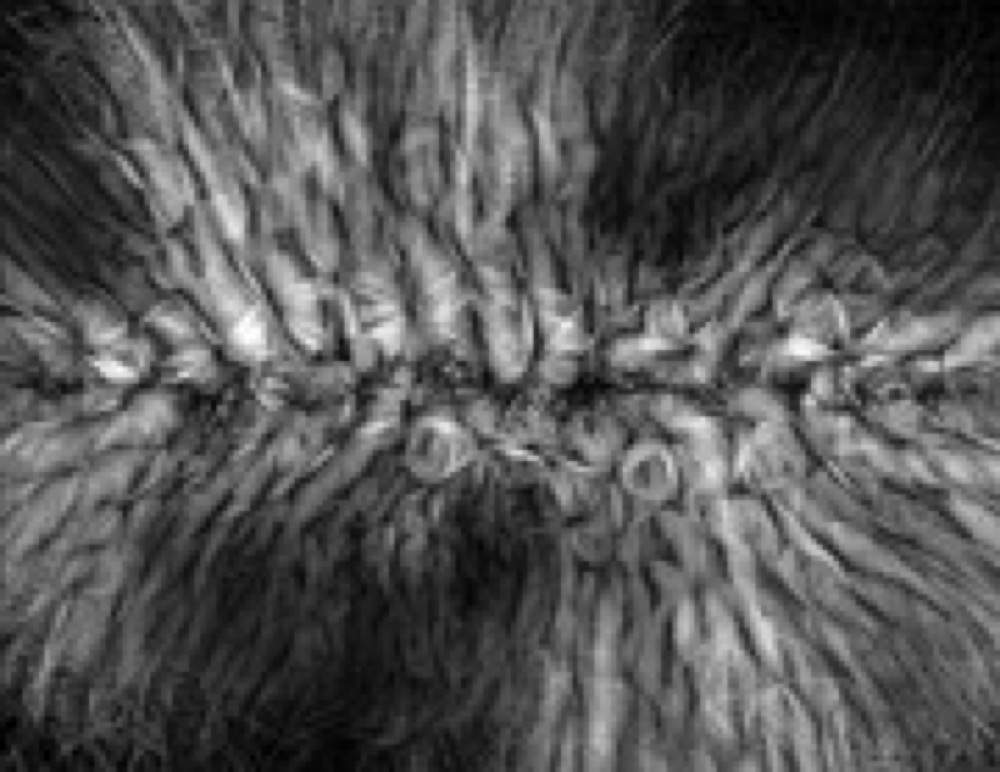 Process Compendium 2004–2010: publisher’s book image