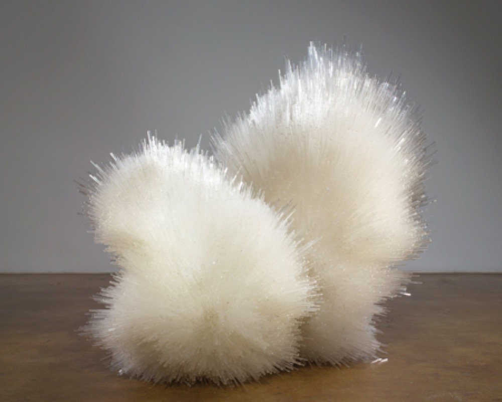 Tara Donovan: publisher’s book image