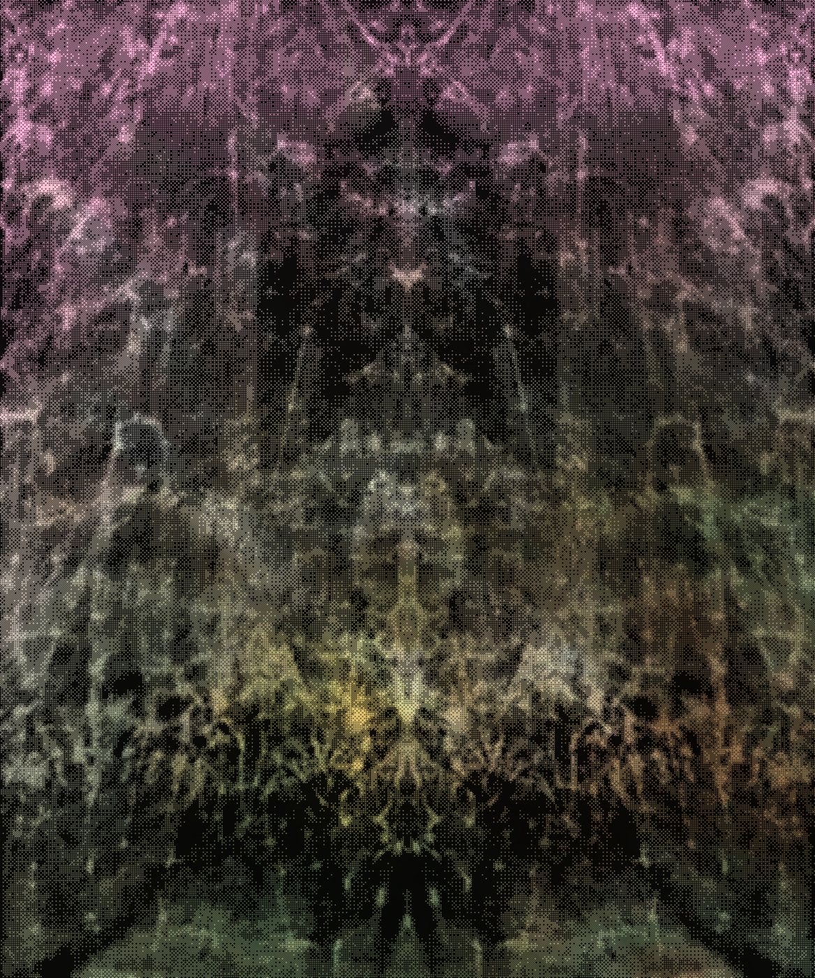 the spring begins with the first rainstorm #0 by Cole Sternberg