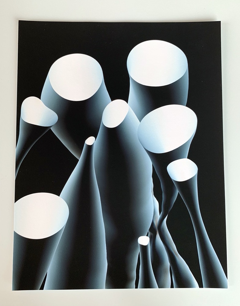 Blob Family (from Daily Sketches Series) by Zach Lieberman, Spalter collection