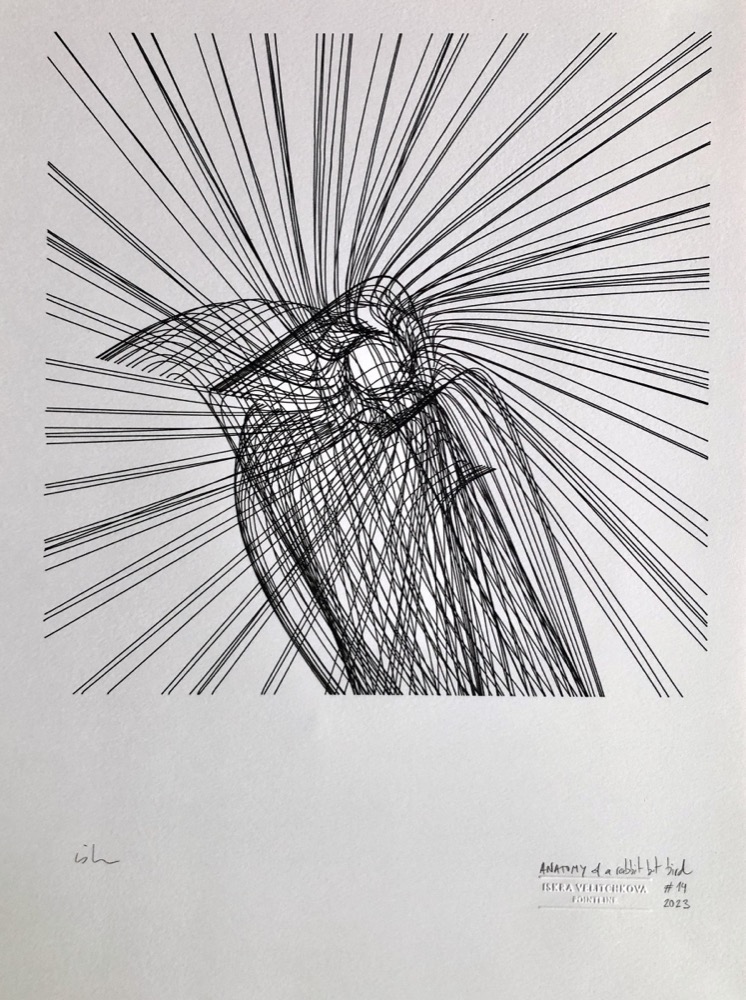 Anatomy of a Rabbit but Bird #14 by Iskra Velitchkova, Spalter collection